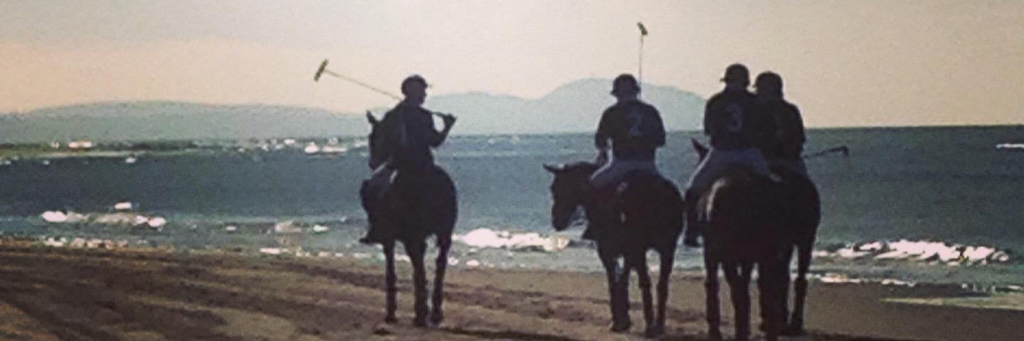 sharonmillar2's profile banner image