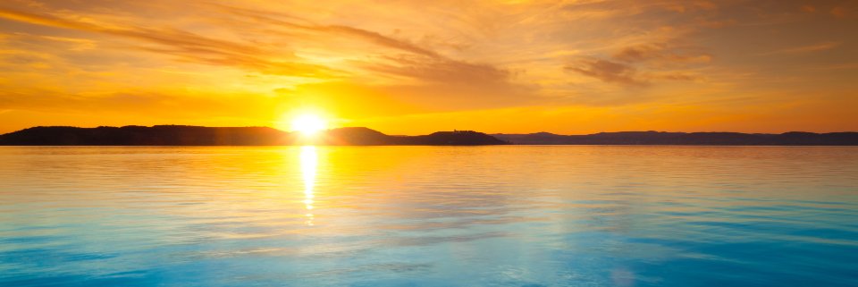 Sari Shaybany banner