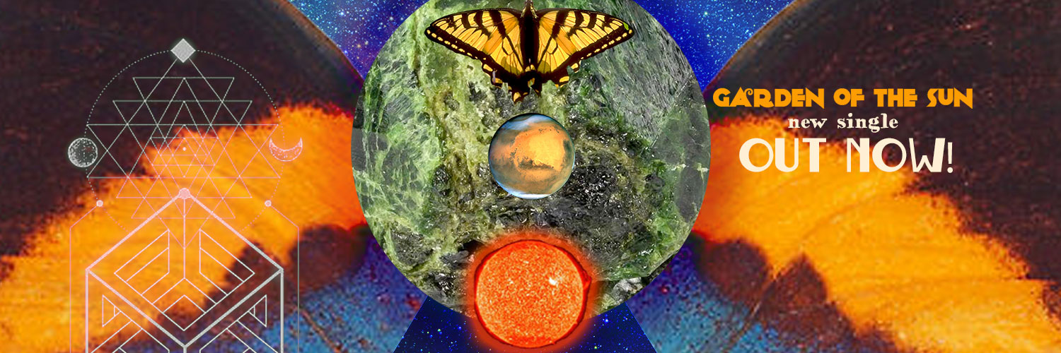 Bloom de Wilde banner