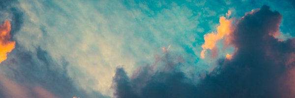 elicecilee Profile Banner