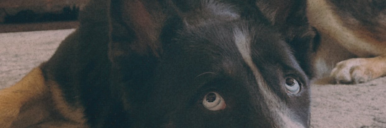 LexiJ50's profile banner image
