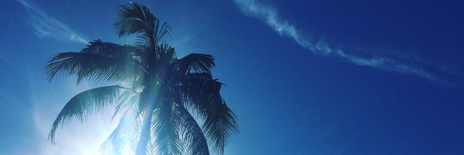 saffronajohnson's profile banner image