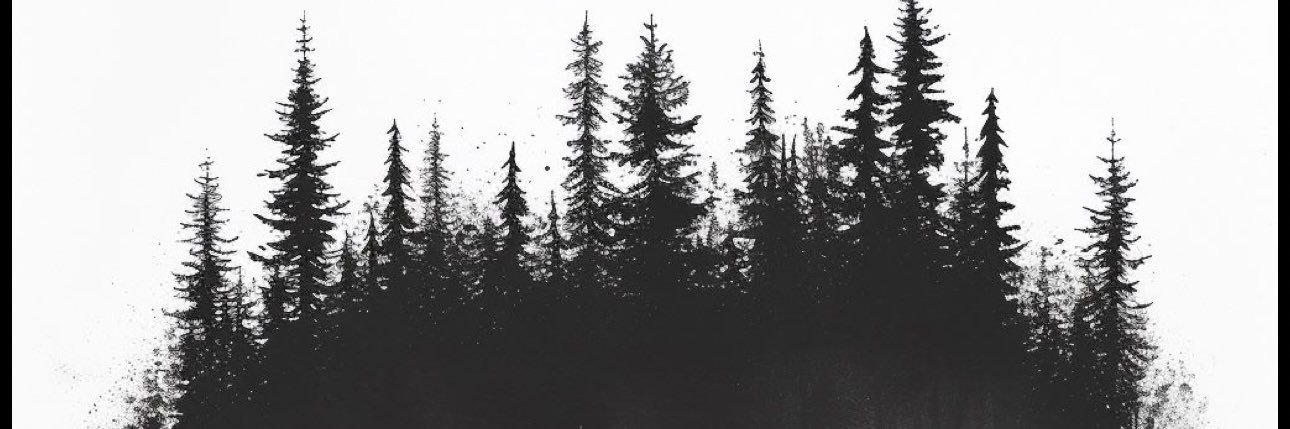 Scoutty_'s profile banner image