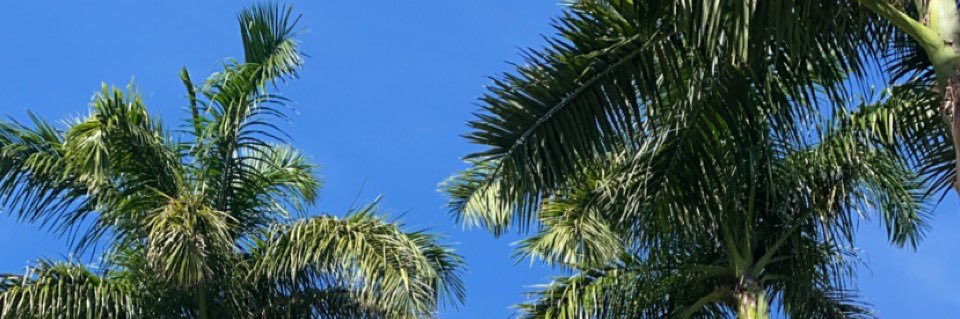 minajreloaded_'s profile banner image