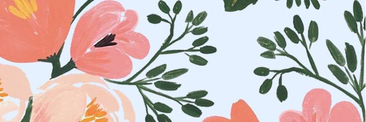 KayAnnVDW's profile banner image