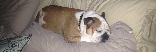 YunggMeat Profile Banner