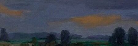 AntiBallena's profile banner image