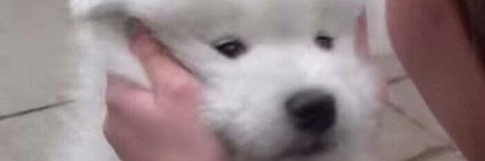 oh_w11's profile banner image
