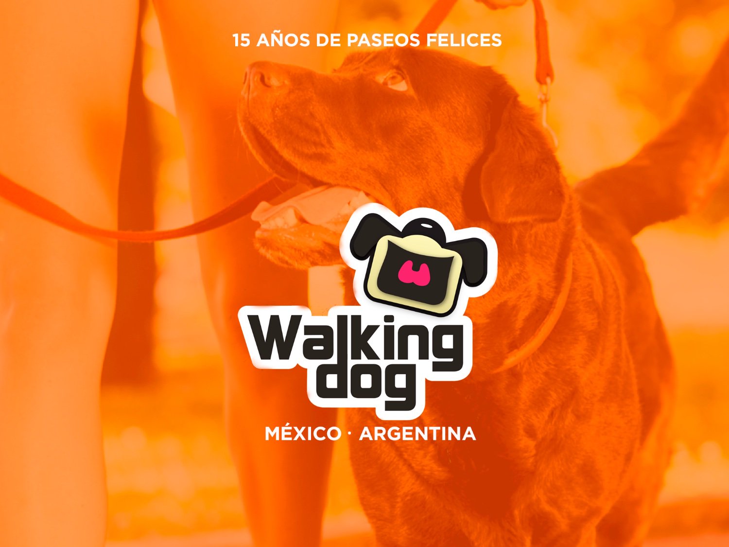 WalkingdogMx's profile banner image