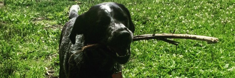 JWilmunen's profile banner image