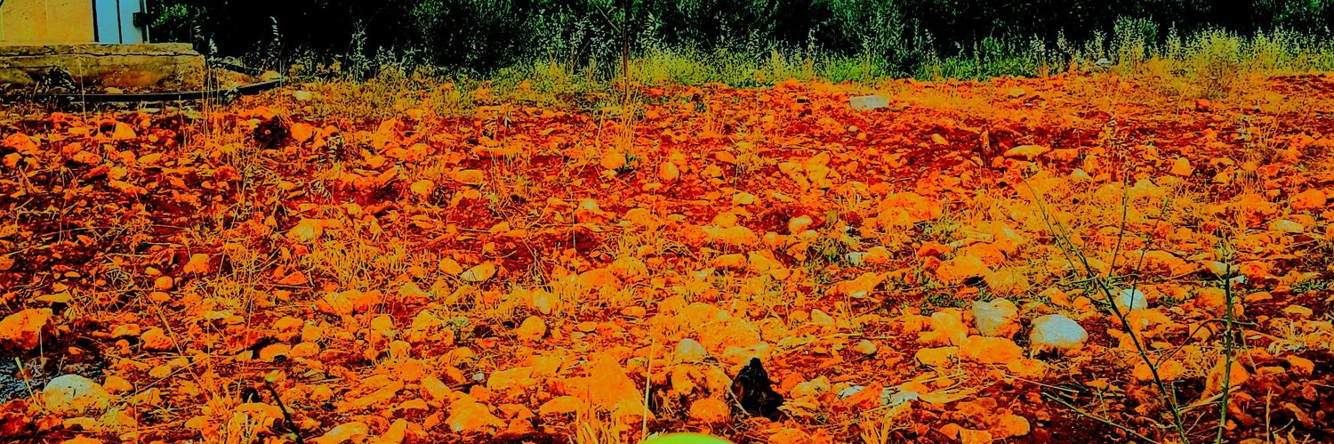 FatmaFethiye's profile banner image