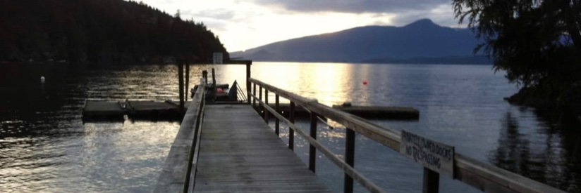 Michelle Harrison banner