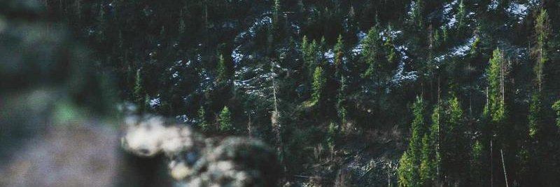 abolfazl92's profile banner image