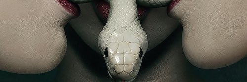 polal30's profile banner image