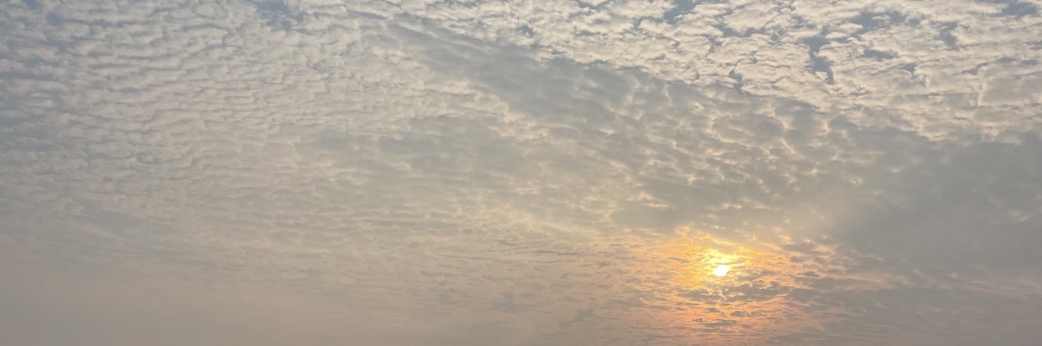 Mich 🌸 banner