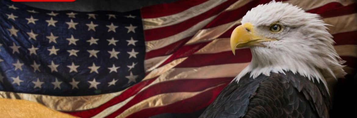 THE_Crypto_Patriot banner