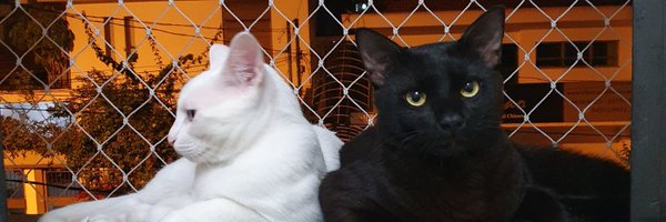 Sicko_Low Profile Banner