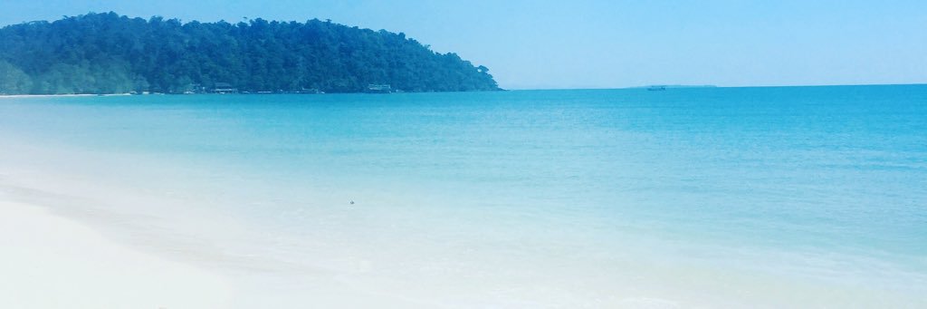 SarahAlciati's profile banner image