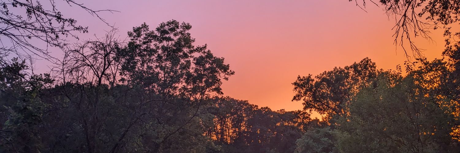 Cindy Gail Prince banner