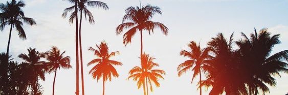 MEL banner