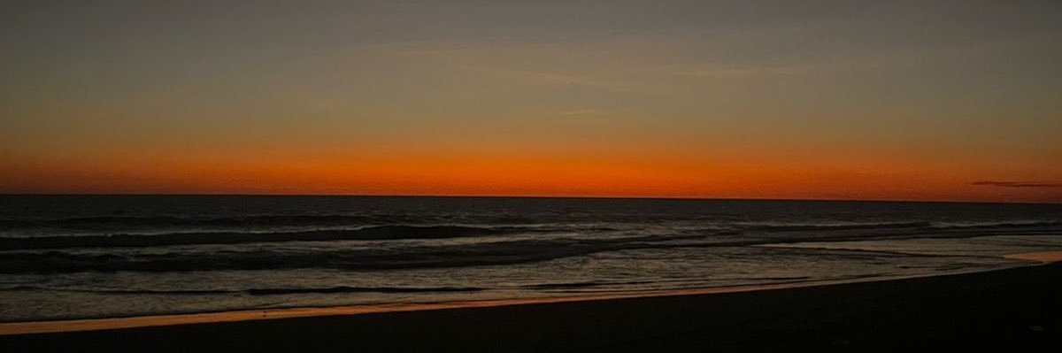 Mari_Aviles3's profile banner image