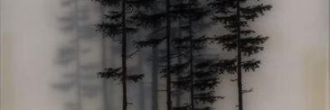 robynhood17's profile banner image