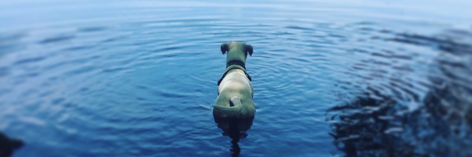 KyleMacNaught's profile banner image