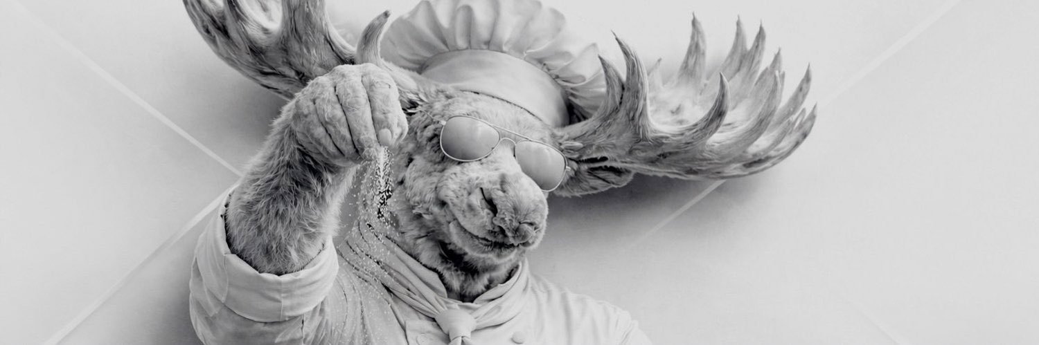 brownmoosse's profile banner image
