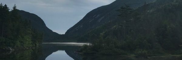Billy_Pinter's profile banner image