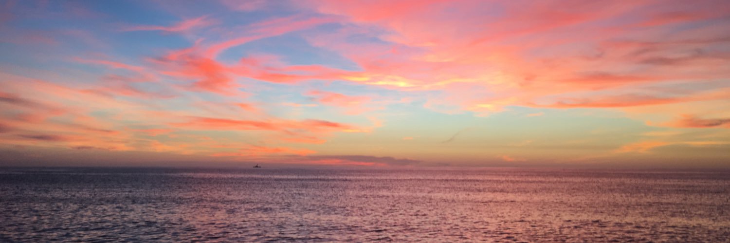 ann__stals's profile banner image