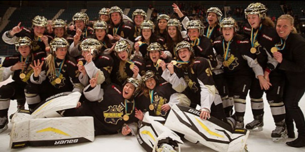 LisaHedengren's profile banner image