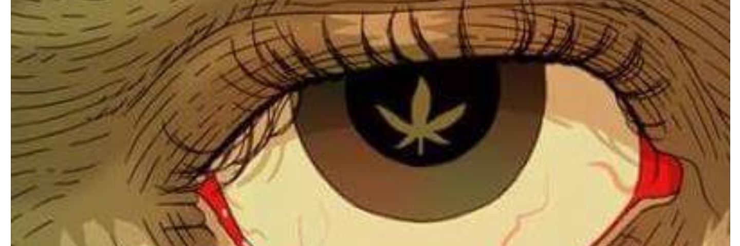 _TDLPDiamond's profile banner image