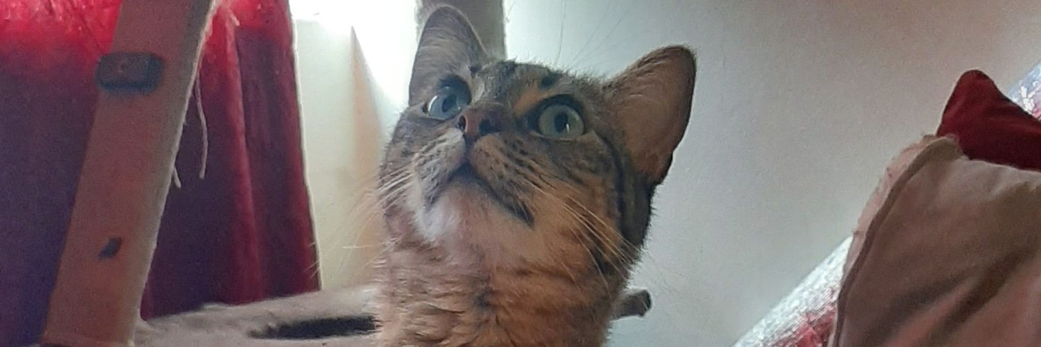 brayankaro's profile banner image
