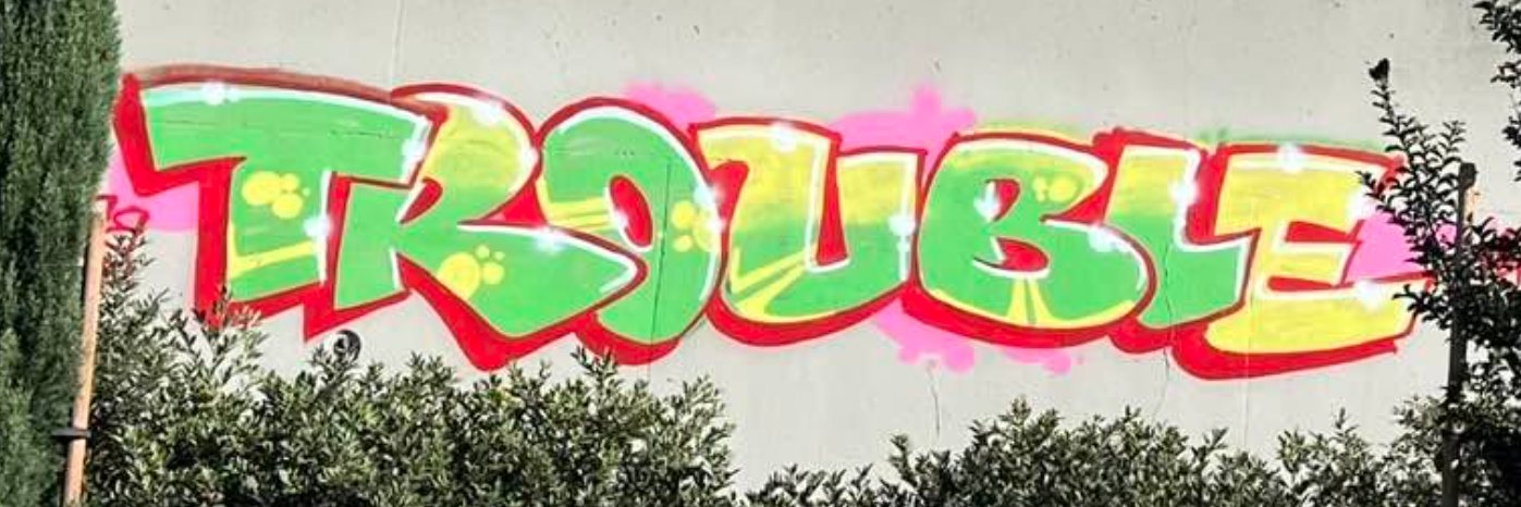 𓆑 banner