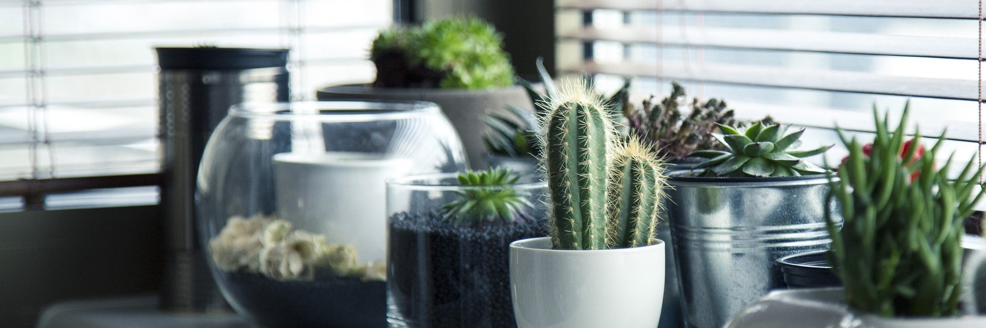 NorthLightStore's profile banner image
