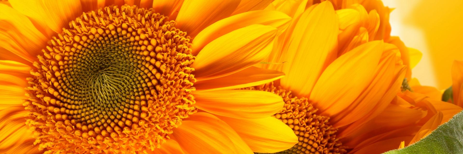 Bvrly_Powers's profile banner image