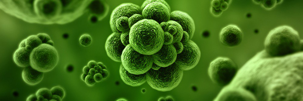 Stop_Superbugs's profile banner image