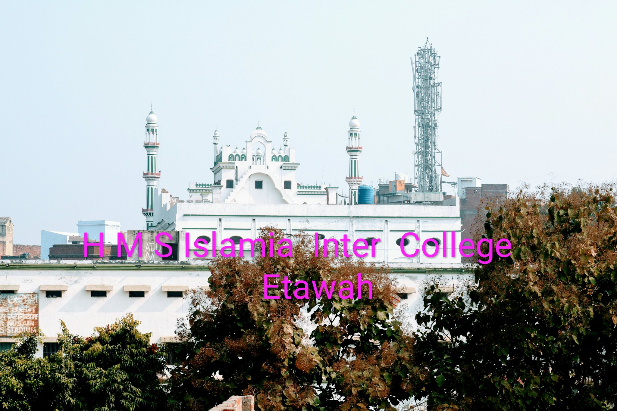 naamhadi's profile banner image