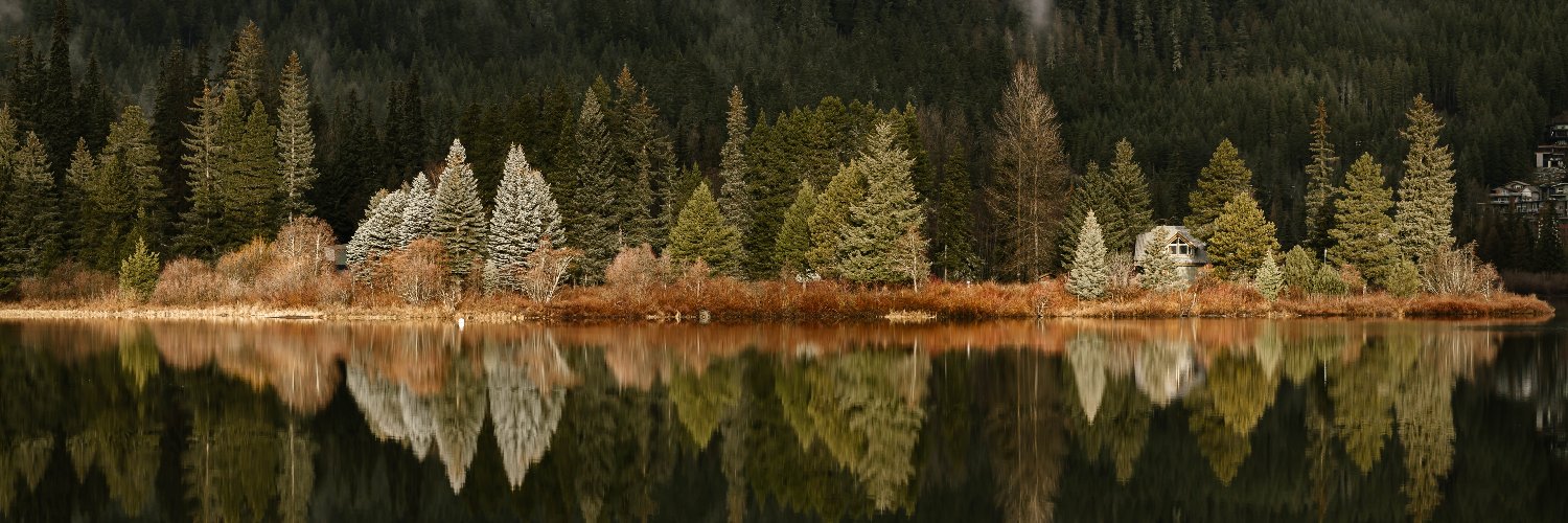 belamaetzel's profile banner image