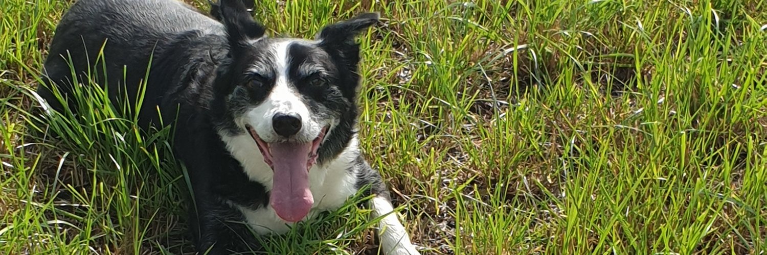 zoeyzobo's profile banner image