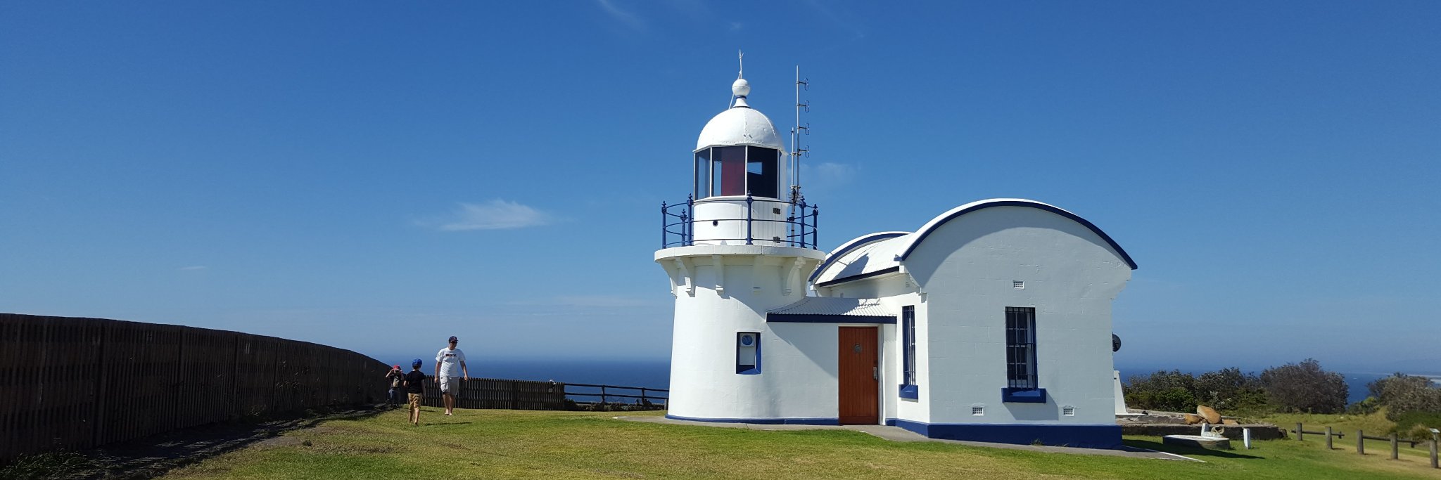 Julia Talevski banner