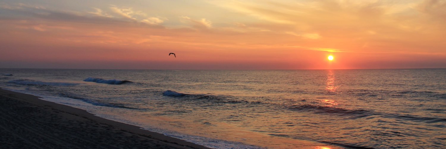 torihart_19's profile banner image