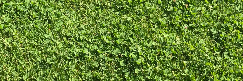 cookmonsta05's profile banner image