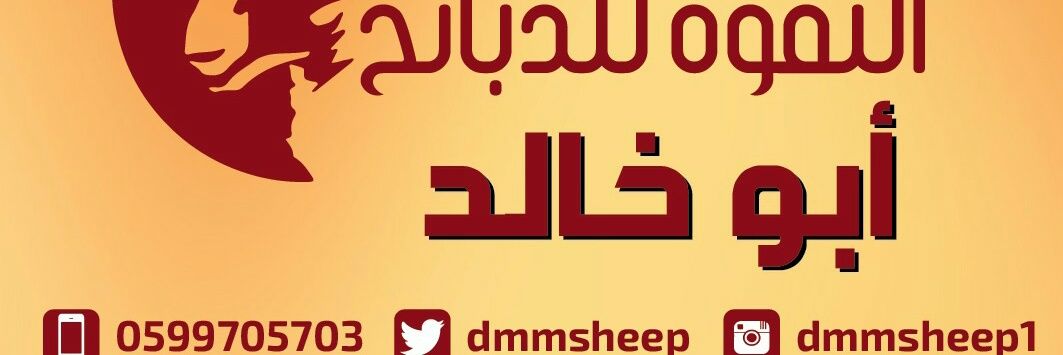 dmmsheep's profile banner image