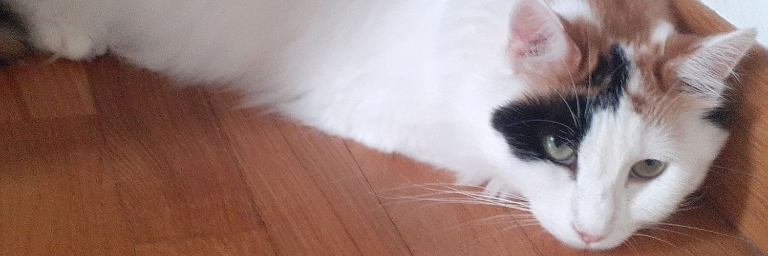 Mirella Pisano banner