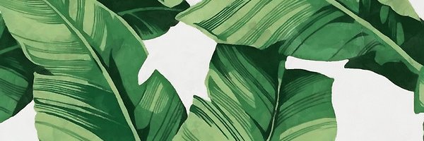 MamaCasss's profile banner image