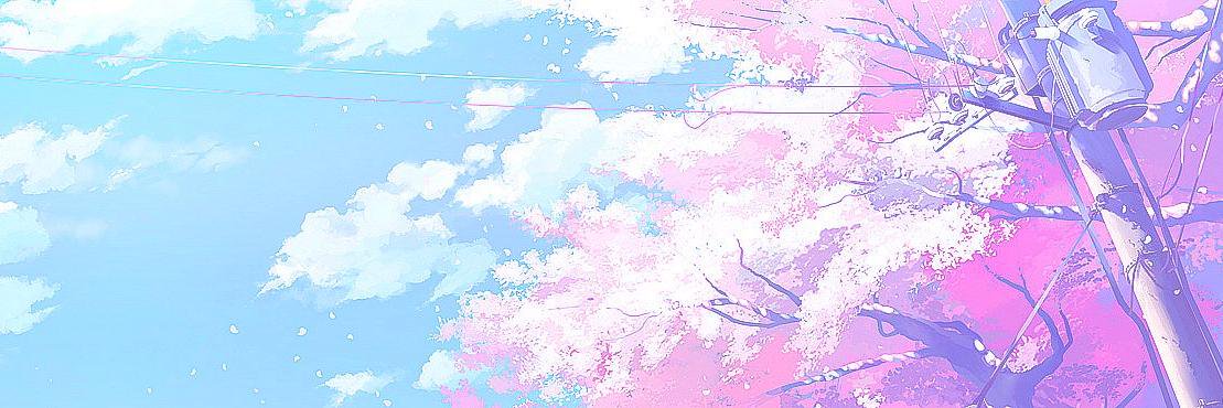 nekochan316's profile banner image