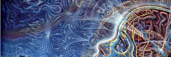 FredHasselman Profile Banner