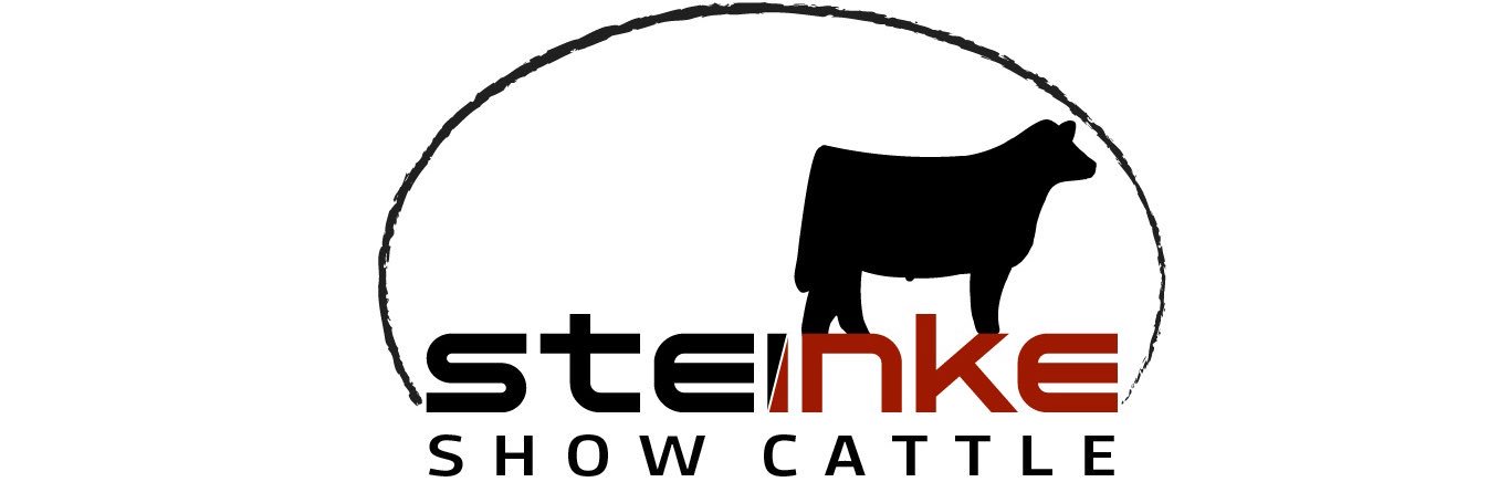 LaneSteinke's profile banner image