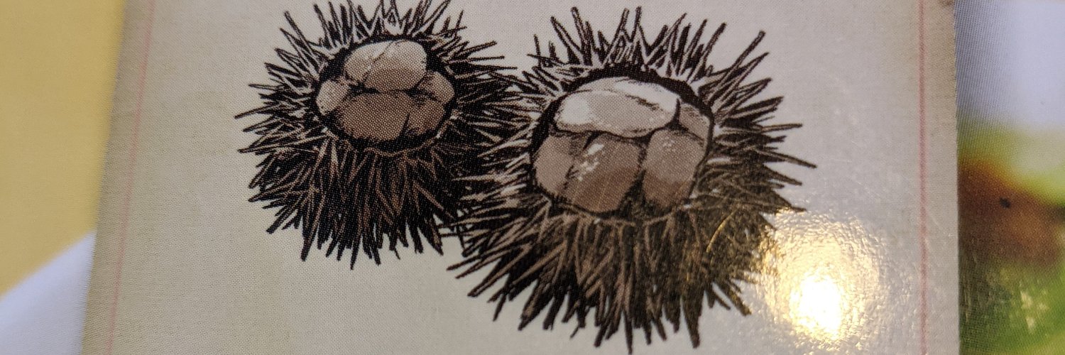 uni3's profile banner image